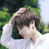 叶子