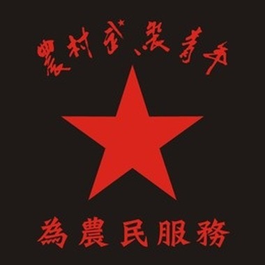 农村武装青年