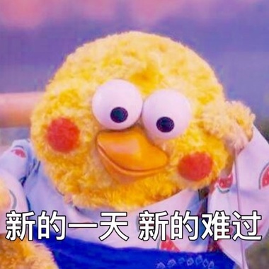 我的歌单