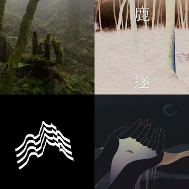 👍❤️👍❤️👍