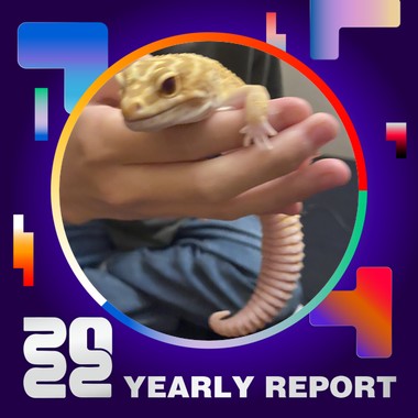 2022 个人年度精选