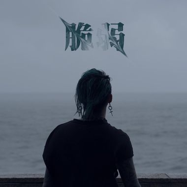 我的歌单  