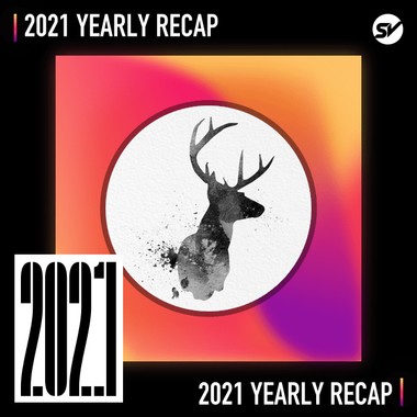 2021 个人年度精选之最