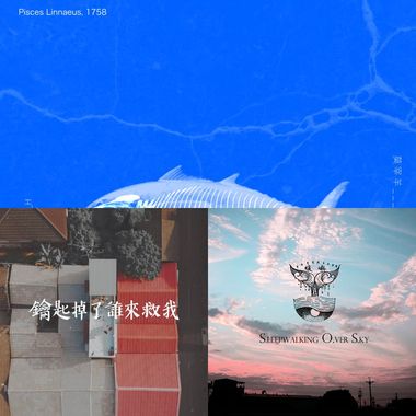 爱团