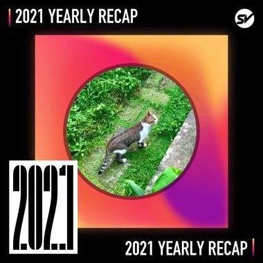 2021 个人年度精选之最