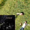 清新