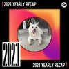 2021 个人年度精选之最