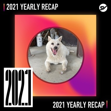 2021 个人年度精选之最