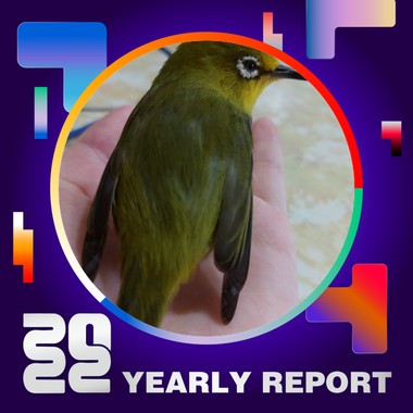 2022 个人年度精选