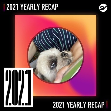2021 个人年度精选之最
