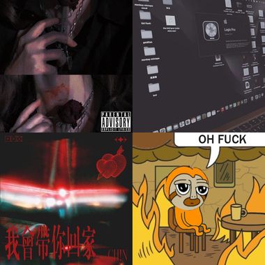 卫生纸