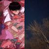 单首循环
