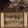 我们在平行时空不再哭了