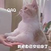 蔡甜甜