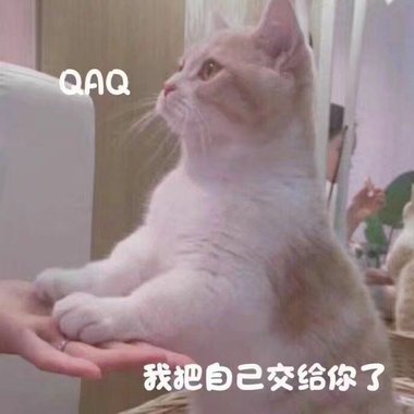 蔡甜甜