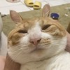 ?听歌啦喵