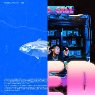 轻快