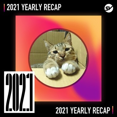 2021 个人年度精选之最