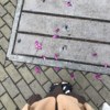 优雅的我啊(❁´ω`❁)