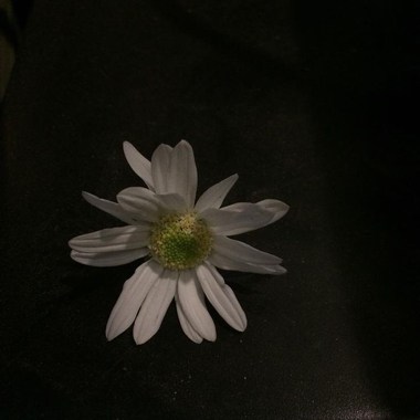 更多可能性
