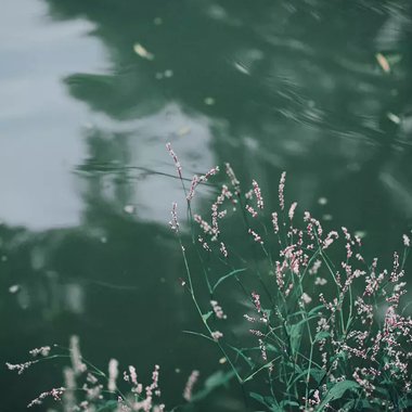 听雨歌楼上