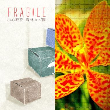情歌
