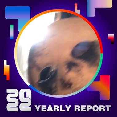 2022 个人年度精选