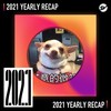 2021 个人年度精选之最