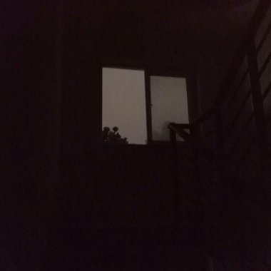 我的歌单