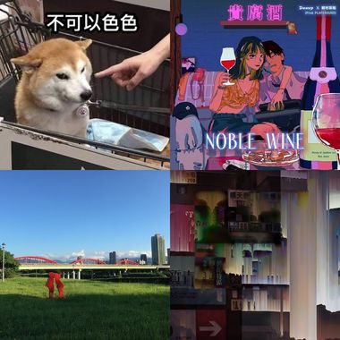 饶饶