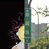 我的歌单 2