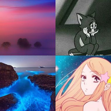 音乐新世界