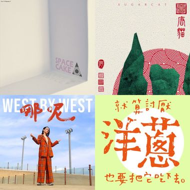 我的创建