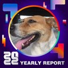 2022 个人年度精选