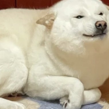 2019 年度歌单