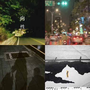 向性