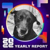 2022 个人年度精选