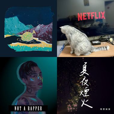 我的歌单