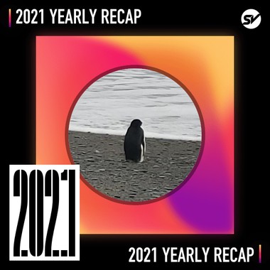 2021 个人年度精选之最