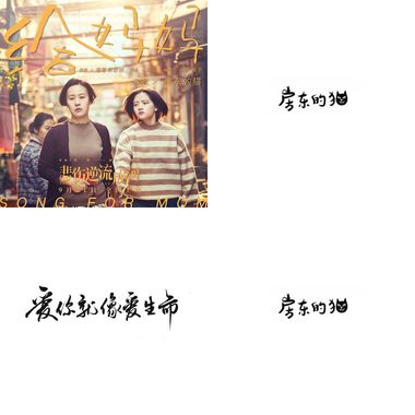房东的猫