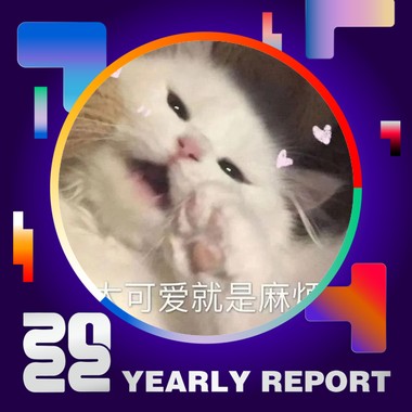 2022 个人年度精选