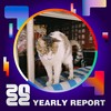 2022 个人年度精选