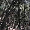 安静
