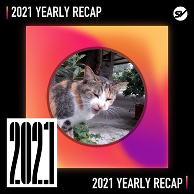 2021 个人年度精选之最