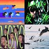 !