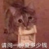 舒