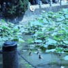 同频的人像礼物