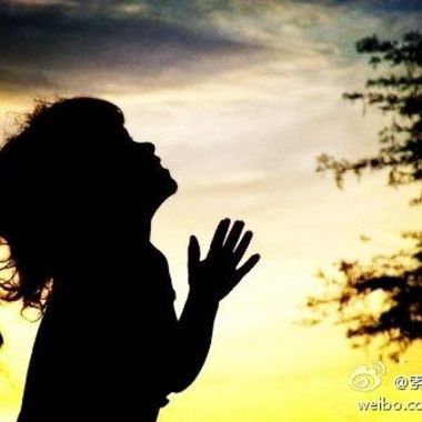 我的歌单  