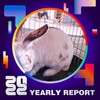 2022 个人年度精选