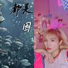 都是因为爱